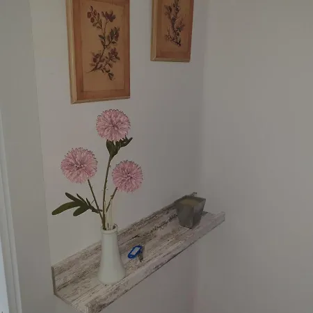 Con Encanto Apartment *